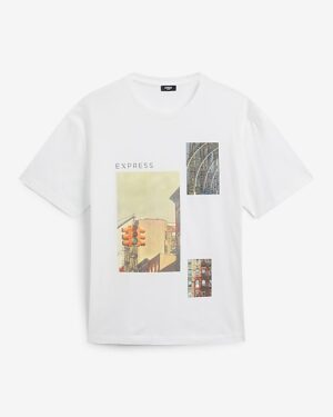 Hudson Perfect Pima Cotton Graphic T-Shirt