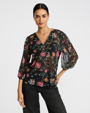 Sheer Mesh Floral V-Neck Balloon Sleeve Top